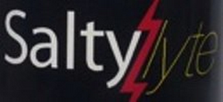 SALTY LYTE logo