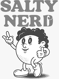 SALTY NERD logo