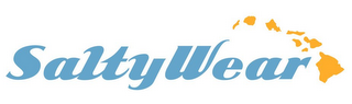 SALTYWEAR logo