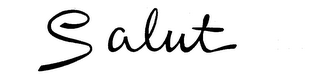 SALUT logo