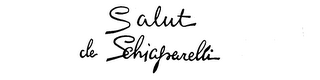 SALUT DE SCHIAPARELLI logo