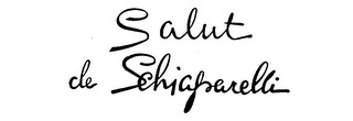 SALUT DE SCHIAPARELLI logo