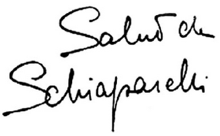 SALUT DE SCHIAPARELLI logo