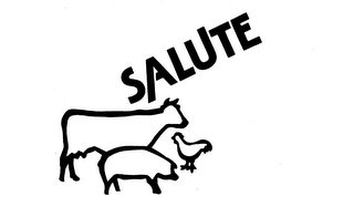 SALUTE logo