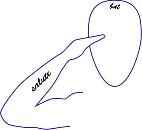 SALUTE BNT logo
