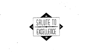 SALUTE TO EXCELLENCE logo