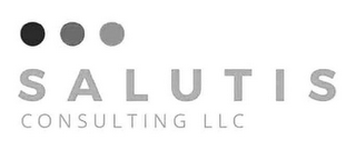 SALUTIS CONSULTING LLC logo