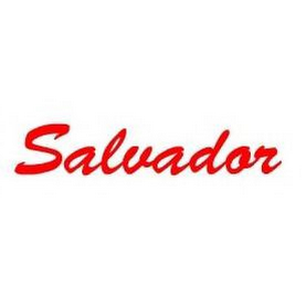 SALVADOR logo