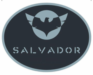 SALVADOR logo
