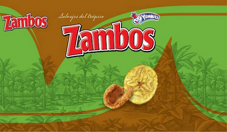 SALVAJES DEL TROPICO ZAMBOS ZAMBOS YUMMIES logo