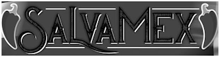 SALVAMEX logo