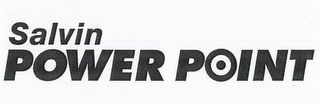 SALVIN POWER POINT logo