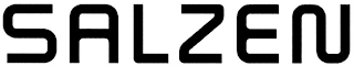 SALZEN logo