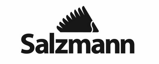 SALZMANN logo