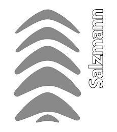 SALZMANN logo