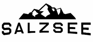SALZSEE logo