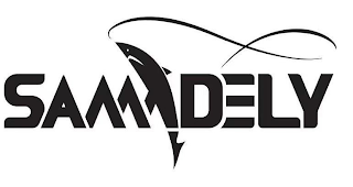 SAMDELY logo