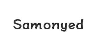 SAMONYED logo