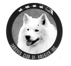 SAMOYED CLUB OF AMERICA INC logo