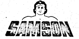 SAMSON logo