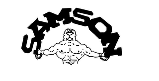 SAMSON logo