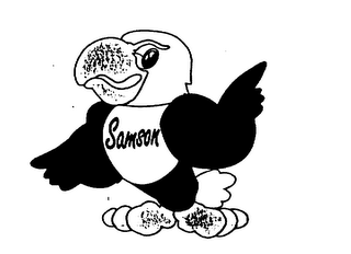 SAMSON logo
