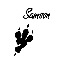 SAMSON logo