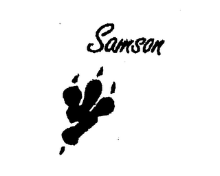 SAMSON logo