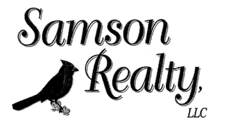 SAMSON REALTY logo