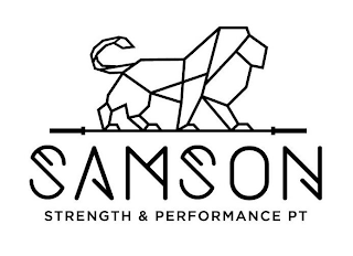 SAMSON STRENGTH & PERFORMANCE PT logo