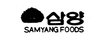 SAMYANG FOODS logo