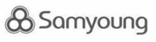 SAMYOUNG logo