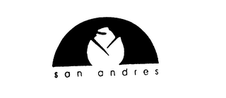 SAN ANDRES logo