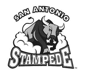 SAN ANTONIO STAMPEDE logo