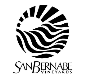 SAN BERNABE VINEYARDS logo