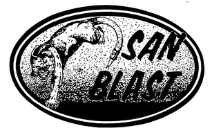 SAN BLAST logo