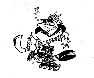 SAN DIEGO BARRACUDAS