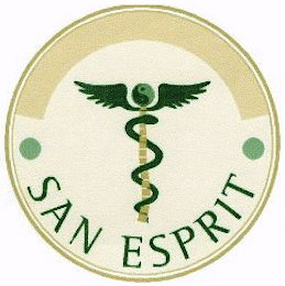 SAN ESPRIT logo