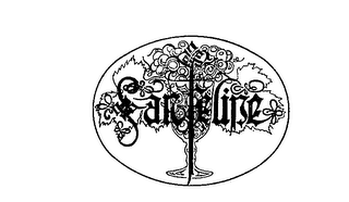 SAN FELIPE logo