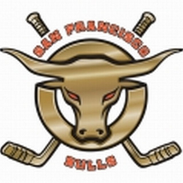 SAN FRANCISCO BULLS logo