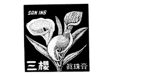 SAN ING logo