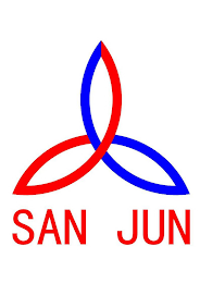 SAN JUN logo