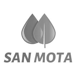 SAN MOTA logo