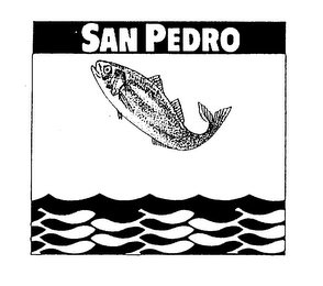 SAN PEDRO logo