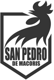 SAN PEDRO DE MACORIS logo