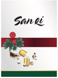SAN QI logo