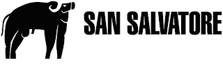 SAN SALVATORE logo