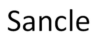 SANCLE logo