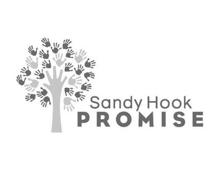 SANDY HOOK PROMISE logo