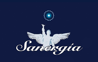 SANERGÍA logo